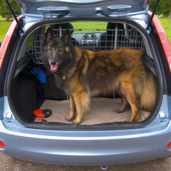 Carpoint universelt hundegitter med net